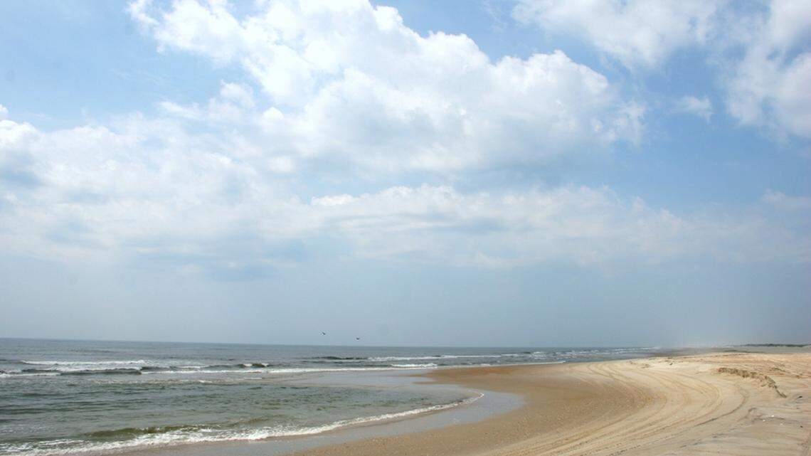 The whale washed up alive out of the Atlantic Ocean, but died before help could arrive, the Center for Marine Sciences and Technology at NC State University reports.