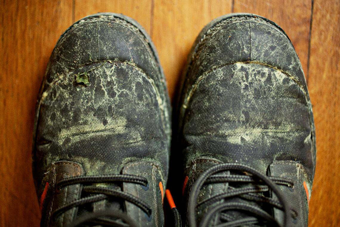 Recent reports from the North Carolina Division of Air Quality show high tree pollen counts.