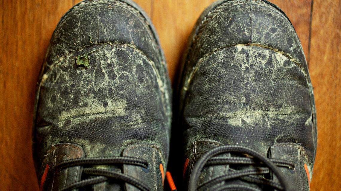 2 NC cities among worst places for pollen allergies, study says. One’s No. 7