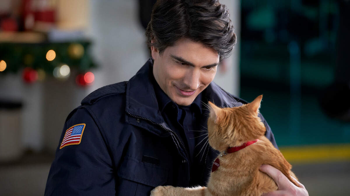 Brandon Routh in the Hallmark movie “Nine Kittens of Christmas.”