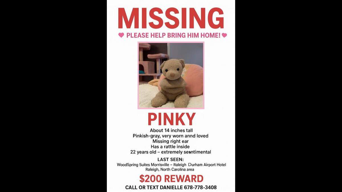 A $200 reward is offered for Riley Heitz’s stuffed Beanie Baby Pinky, lost in or around a Morrisville hotel. It is a treasured relic of childhood dating back 22 years.