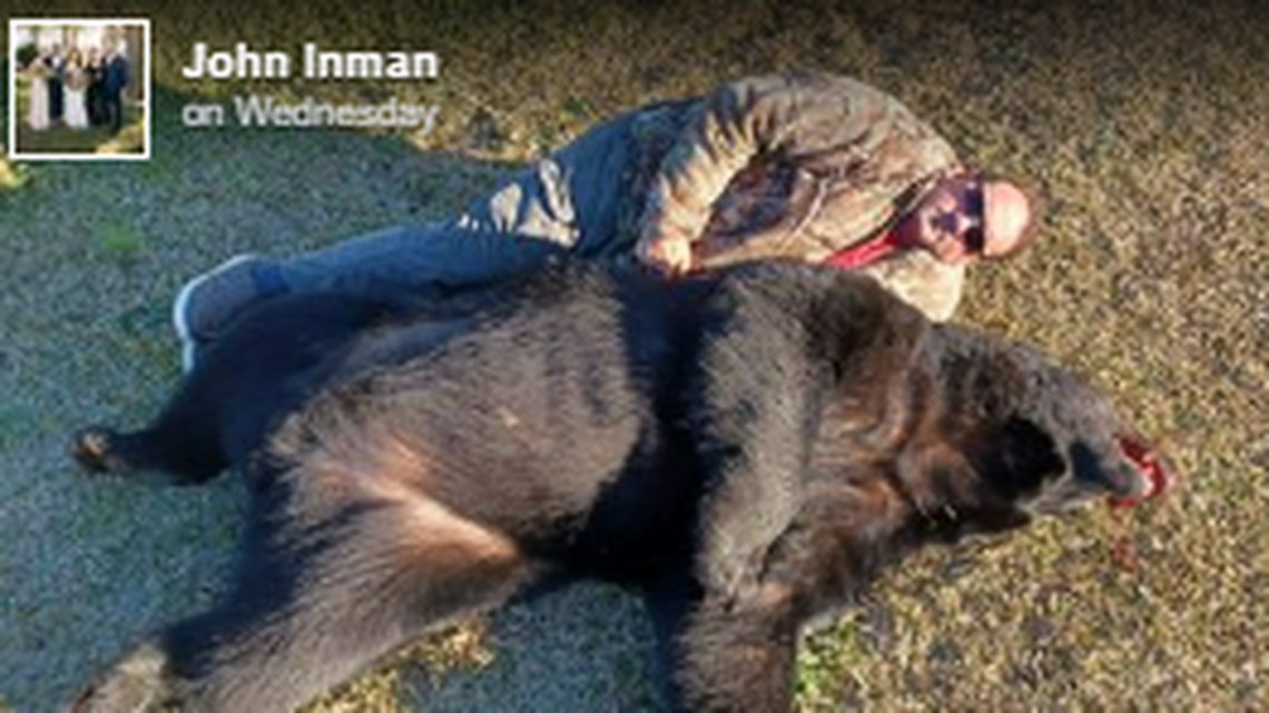 John Inman reports he is more than 6 feet tall and he shared this photo to put the bear’s size into perspective. It was killed in a collision with a vehicle on March 15.