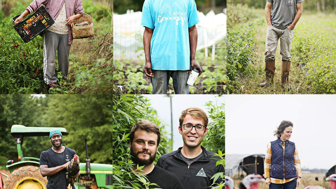 Small farms, big ideas: NC has a new crop of farmers willing to try something different