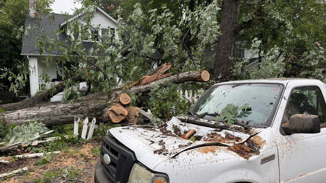 Afternoon storms on Monday, Aug. 11 and saturated ground made a tree fall onto a truck on Fairview Road in Raleigh.