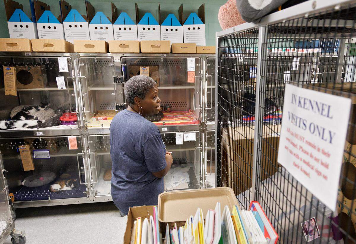 Shafonda Allen, executive director of the Animal Protection Society of Durham, walks past cat kennels during a tour of the facility on Tuesday, July 1, 2025.