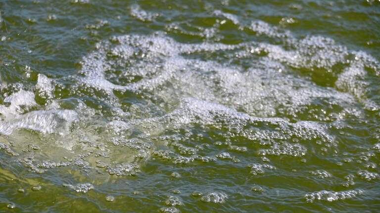Algae blooms may add to air pollution, a greater threat than previously thought