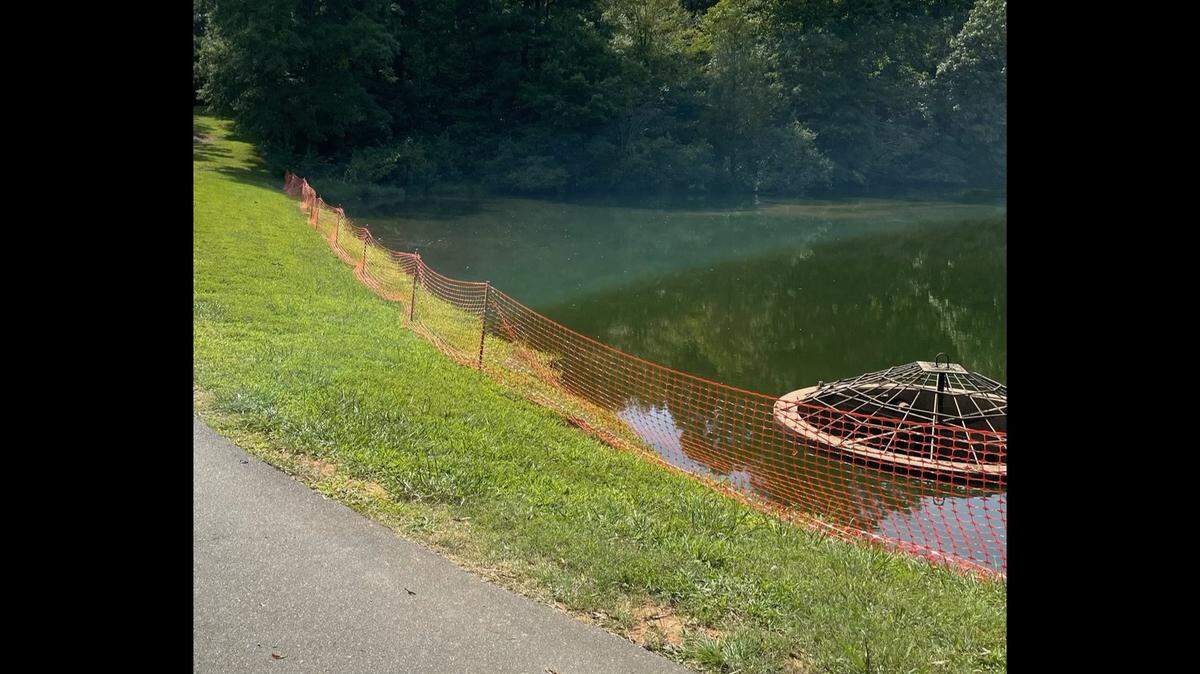 A toxic red algae bloom prompted Wake Forest officials to close public access to Joyner Park Pond on Friday, Aug. 23, 2024.