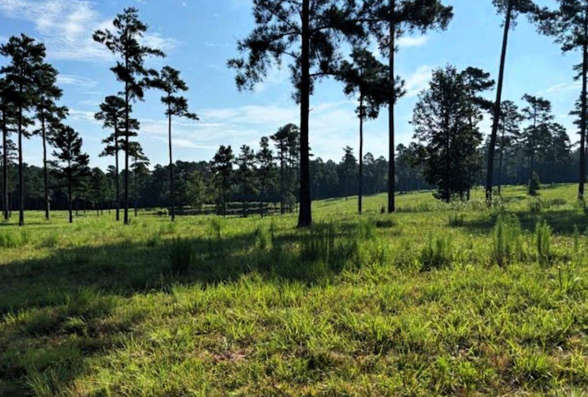 Raleigh-based developer Swain Group is asking to build 107 single-family homes with a minimum lot size of three acres at Riverbend Estates at Laurel Ridge, a 622-acre site off Old Graham and Rock Rest roads, between N.C. 87 and U.S. 15-501.