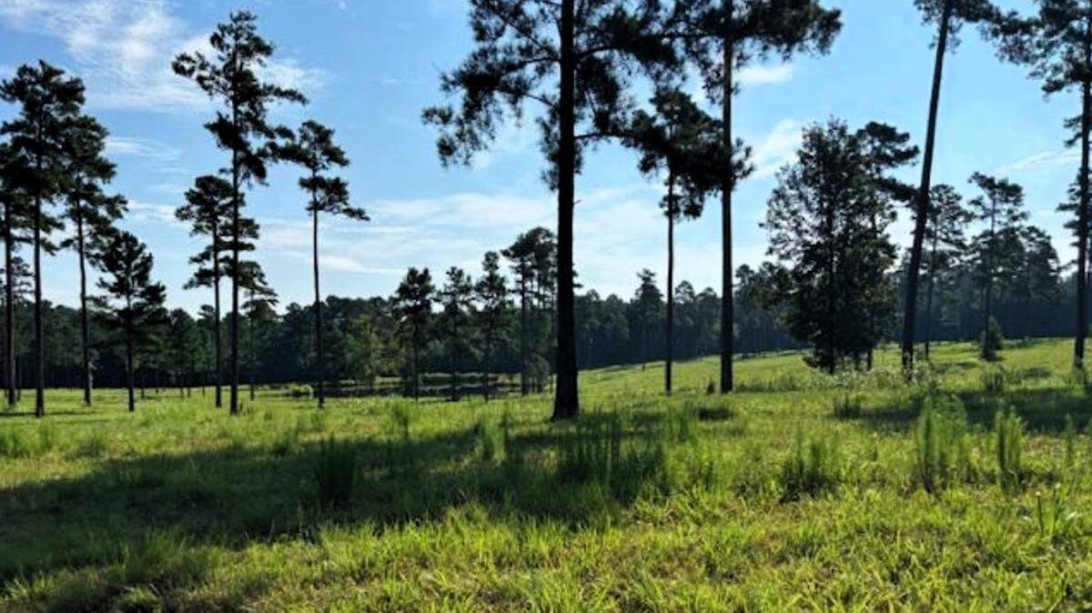 Raleigh-based developer Swain Group is asking to build 107 single-family homes with a minimum lot size of three acres at Riverbend Estates at Laurel Ridge, a 622-acre site off Old Graham and Rock Rest roads, between N.C. 87 and U.S. 15-501.