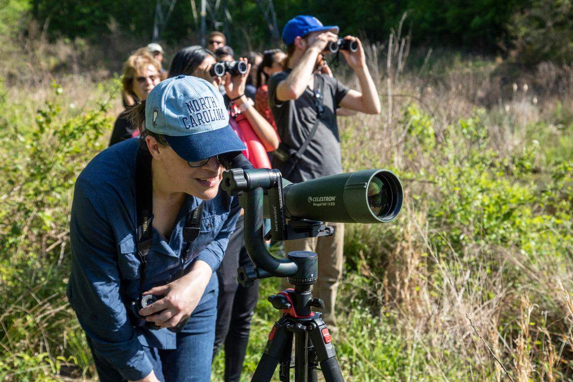 Amy Armbruster, Sustainabilty Manager for City of Durham, observers Great blue herons and great egrets on the edge of a beaver pond on Ellerbee Creek in Durham Wednesday, April 19, 2023.