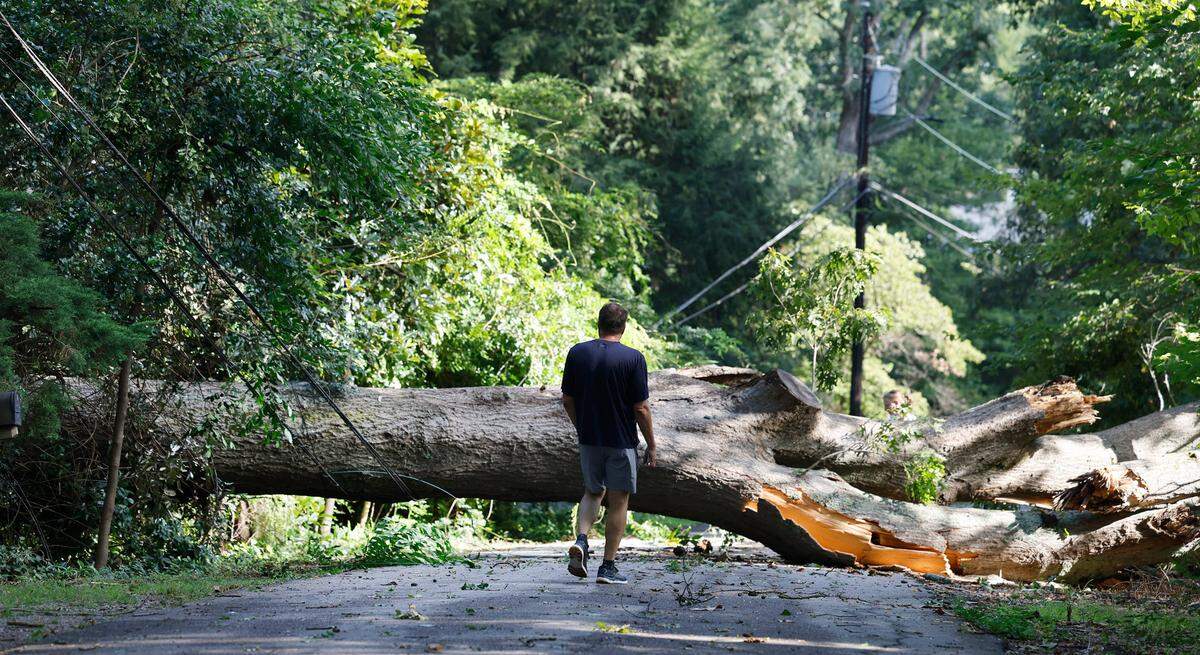 A tree blocks Lutz Ave. in Raleigh, N.C., Tuesday morning, August 8, 2023. Strong winds and saturated soil may cause trees and power lines to fall.