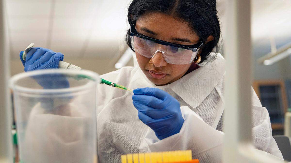 Aagarshna Selvaraju, a rising senior at Hickory Ridge High School, performs a gel electrophoresis lab on Friday, July 18, 2025. The NC GlaxoSmithKline Summer Immersion Experience in Biotech is a biotechnology summer program for 11th and 12th graders held by NC Central University in Durham, N.C.