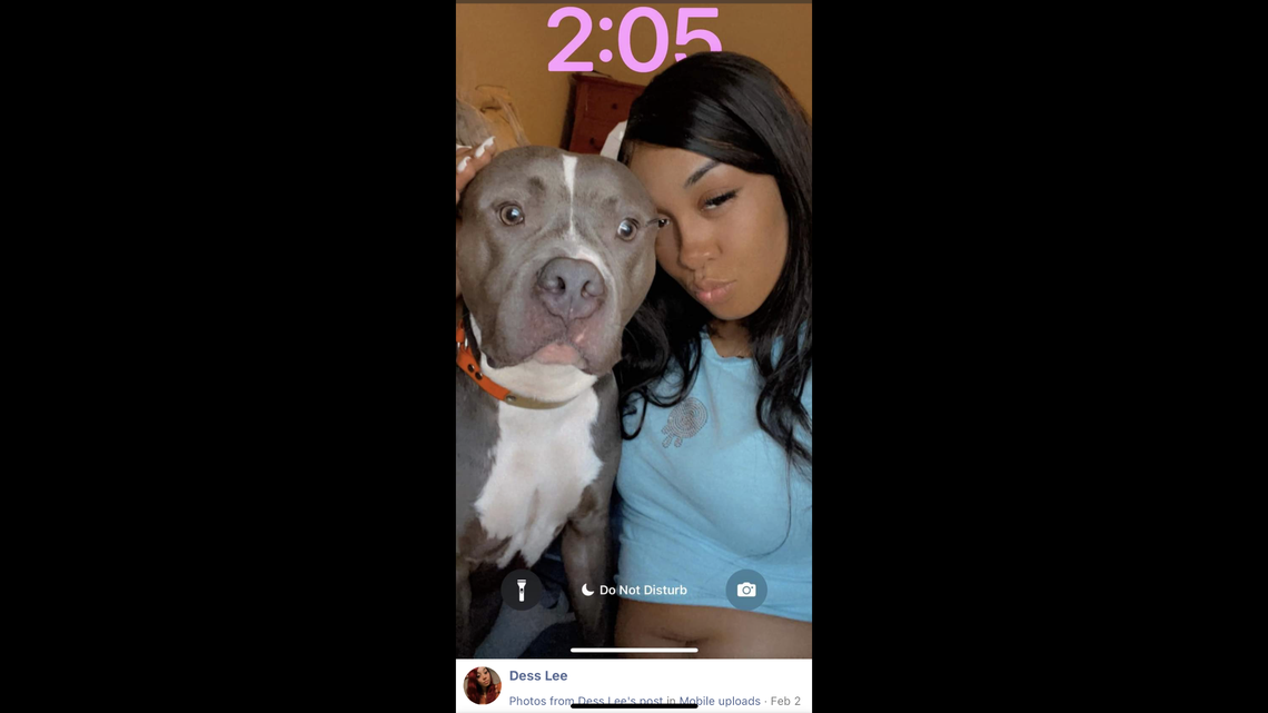 A pet dog was mistakenly euthanized while in quarantine in NC, an animal shelter said.