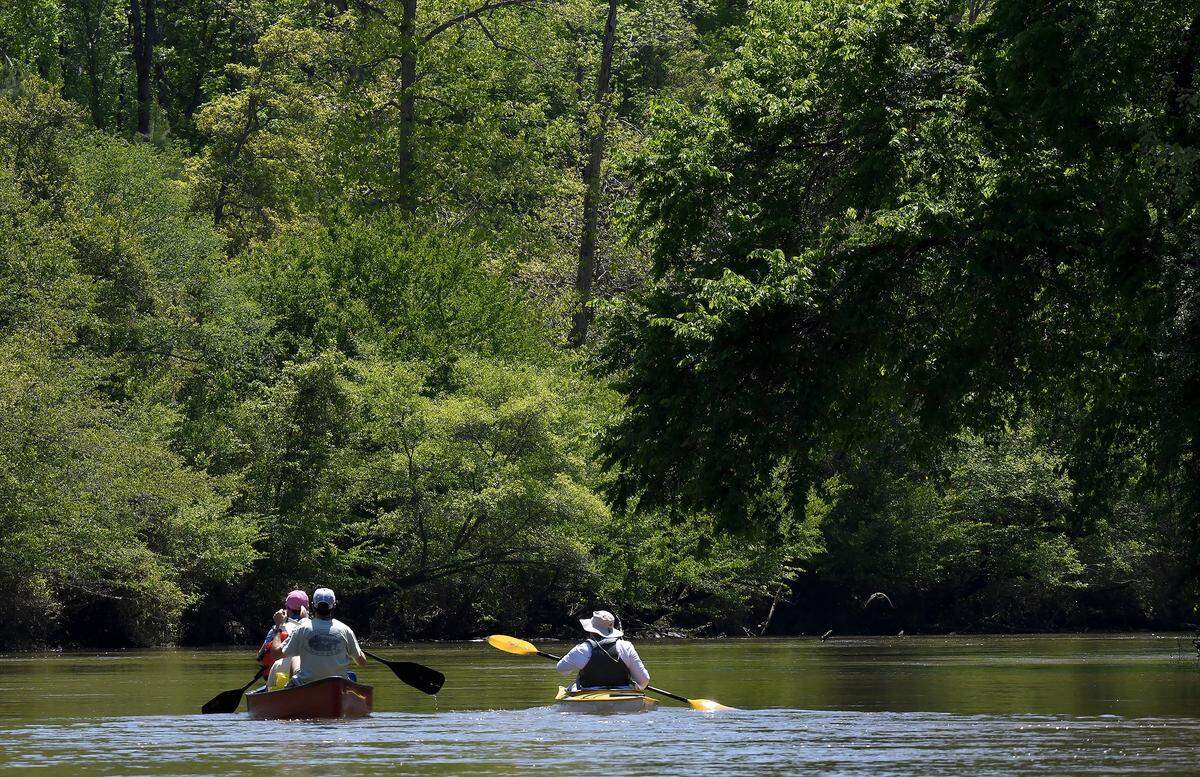 Paddlers enjoy the gentle breezes and steady flow on the Neuse River north of where the Milburnie Dam once held the river at a standstill in Raleigh,N.C., Tuesday, May 1, 2018.