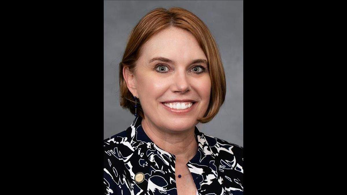 Julie von Haefen, candidate for NC House District 36