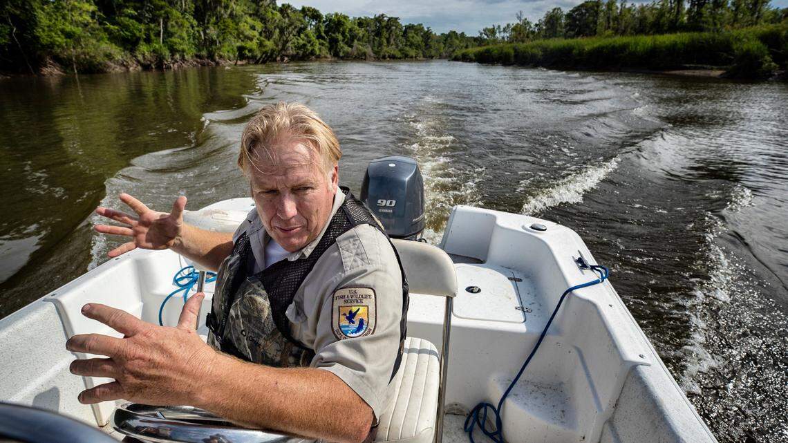 A unique marsh could vanish on SC-GA border. ‘Nobody is going to hold back the tide.’