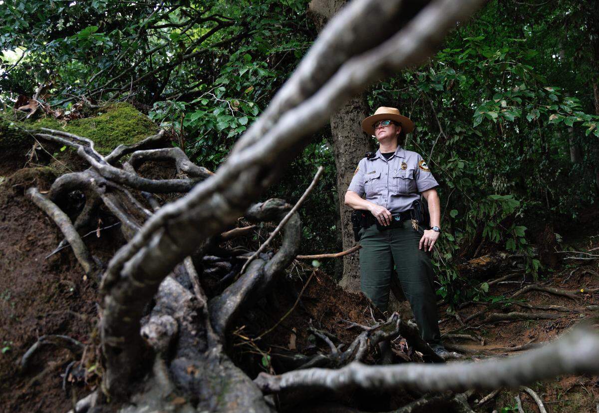Eno River State Park Superintendent Kimberly Radewicz poses for a portrait on Tuesday, July 15, 2025, in Durham, N.C. near a downed tree along the riverbank after the park sustained flooding damage during Tropical Depression Chantal.