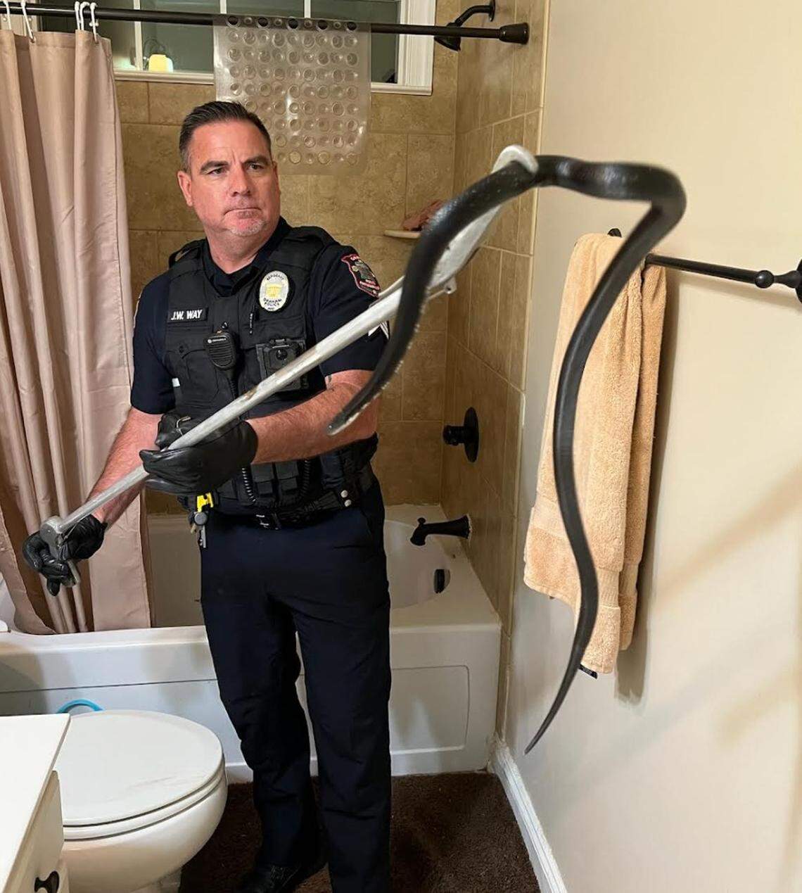 An officer with the Graham, NC police department removes a snake from a bathroom. “Officers cleared the residence, and after brief standoff, Sgt. Way made the apprehension. The suspect was removed and relocated without incident,” the department said.