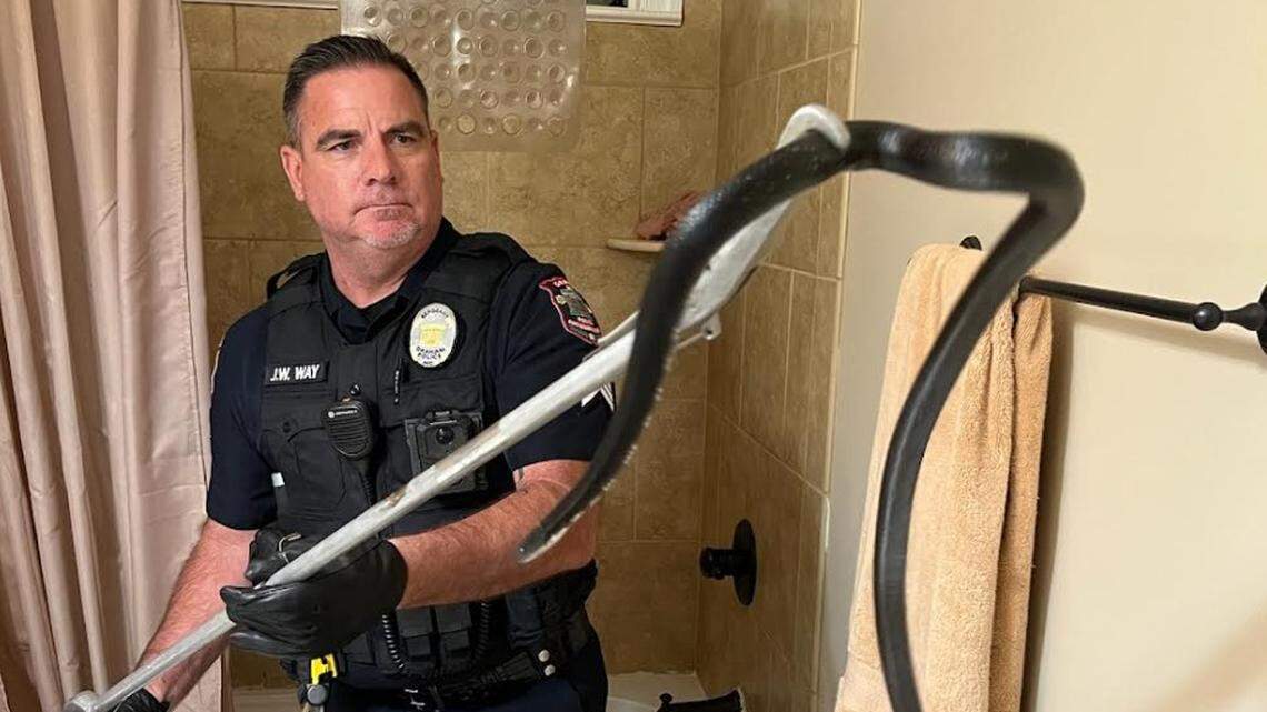 Can snakes (or rats) come up through your toilet? It’s rare, but yes. Here’s how