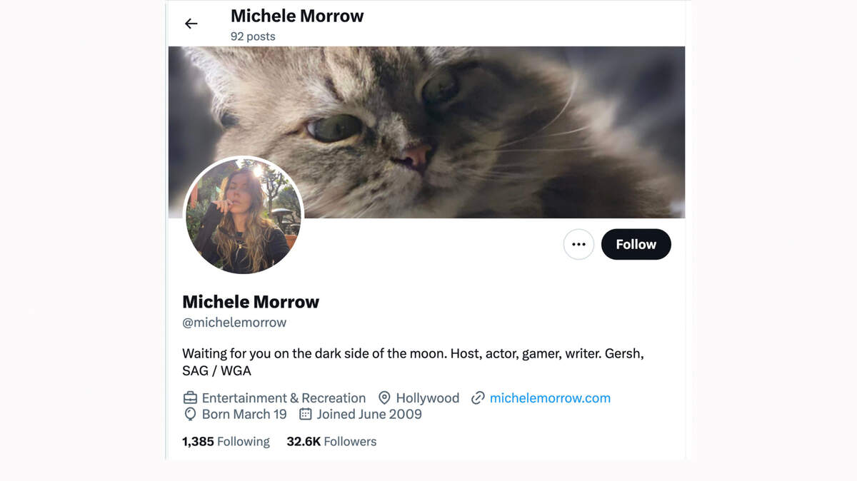 X account for Michele Morrow, a video game, writer and actor. Morrow says she’s been confused with people who think she’s the GOP candidate running for North Carolina superintendent of public instruction.