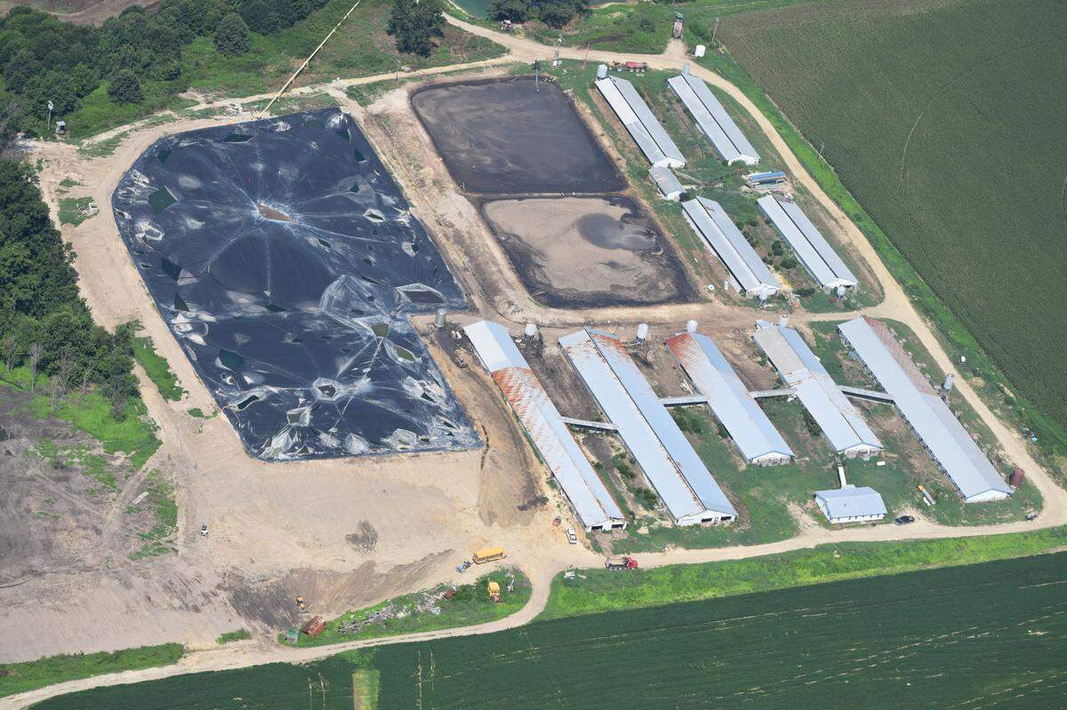 An anaerobic digester on White Oak Farms in Fremont, N.C., split open in late May, sending foam oozing out for at least three weeks. Shown here on August 3, the farm mixed hog waste with deli meat, hot dogs and liquified pig carcasses to generate methane in the digester.