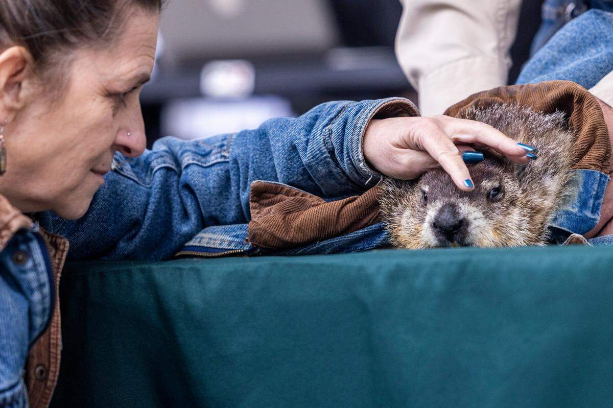 Kindra Mammone of CLAWS Inc. Wildlife Sanctuary pets a groundhog named “Snerd” before it predicted six more weeks of winter according to Garner Mayor Ken Mashburn during a Groundhog Day event at White Deer Park in Garner Thursday, Feb. 2, 2023.