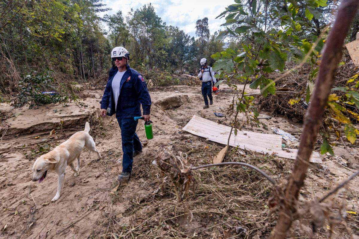 A FEMA search and rescue team from California search for flood victims using a human remains dog named “Rubble” in Swannanoa on Sunday, Oct. 6, 2024 after Tropical Storm Helene flooded the Swannanoa River. North Carolina officials have confirmed 76 deaths from Tropical Storm Helene.
