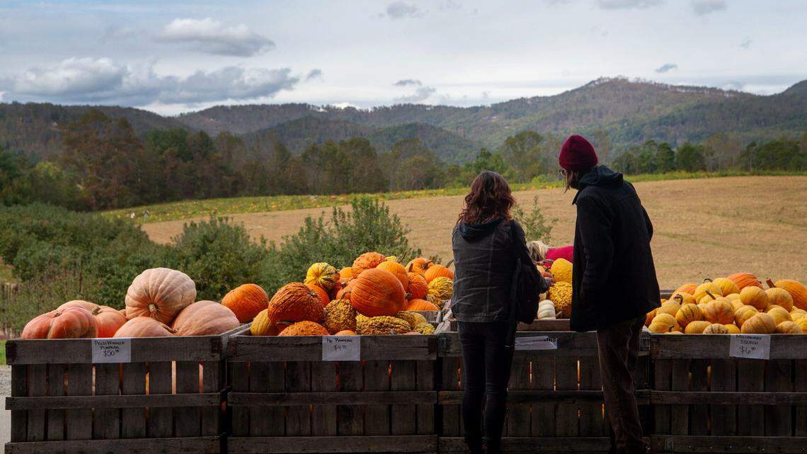 What’s open and safe to do in Hendersonville after Helene hit Western North Carolina?