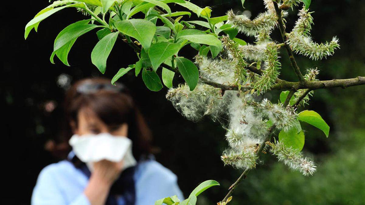 Neti pots, steam, timing your medication right: what allergists say actually works when allergy season hits this hard.