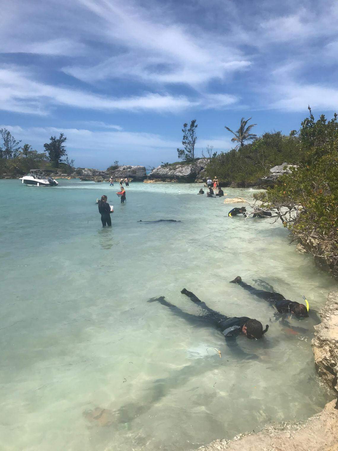 Students work to map the wreck site.