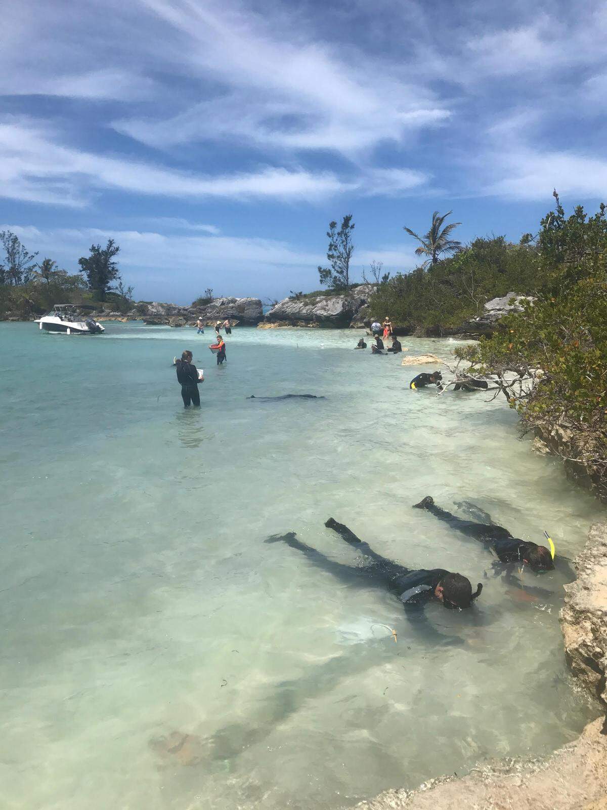 Students work to map the wreck site.