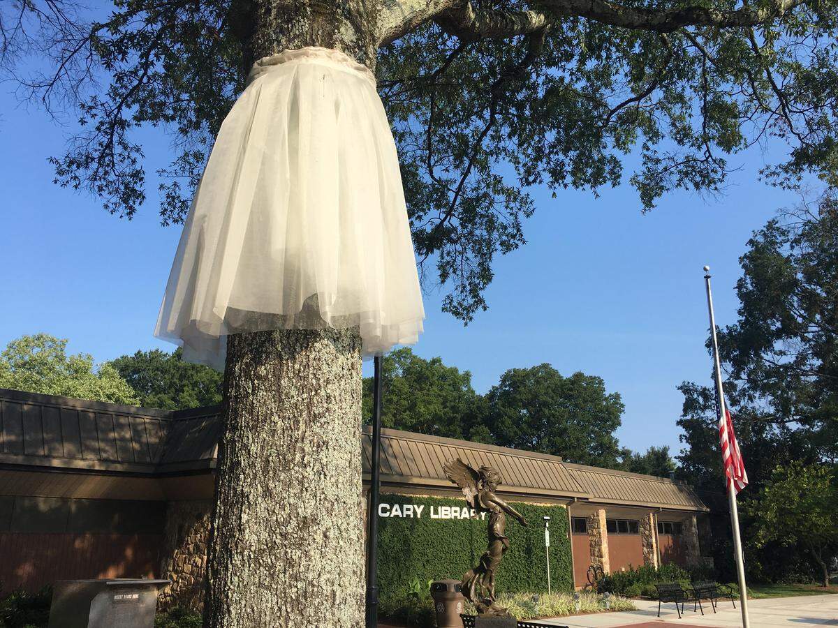 A tree outside the Cary public library on South Academy Street sports a fanciful tutu, part of an art installation by Los Angeles artist Helen Lessick.