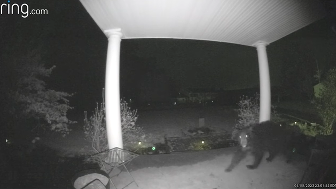 Ring doorbell camera footage captured the furry visitor on a West Virginia porch.