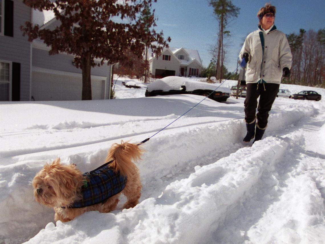 Martha Church walks her Lhasa Apso “Tuey” on Kendlewick Drive in Cary. Tuey was able to walk only in the ruts made by vehicles through the unplowed subdivision streets after a storm dumped 22 inches of snow on the area.