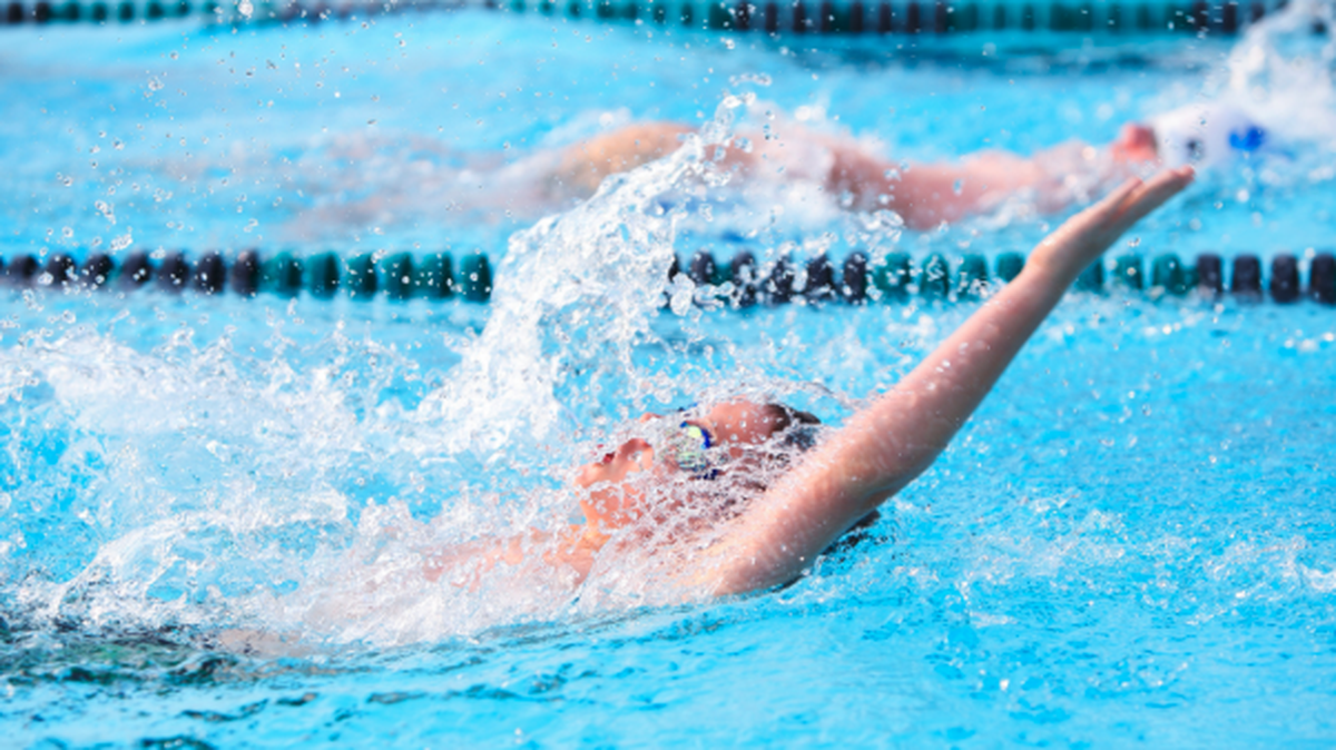 A variety of free and cheap swimming lessons are available in the Charlotte area, most through Mecklenburg County Park and Recreation.