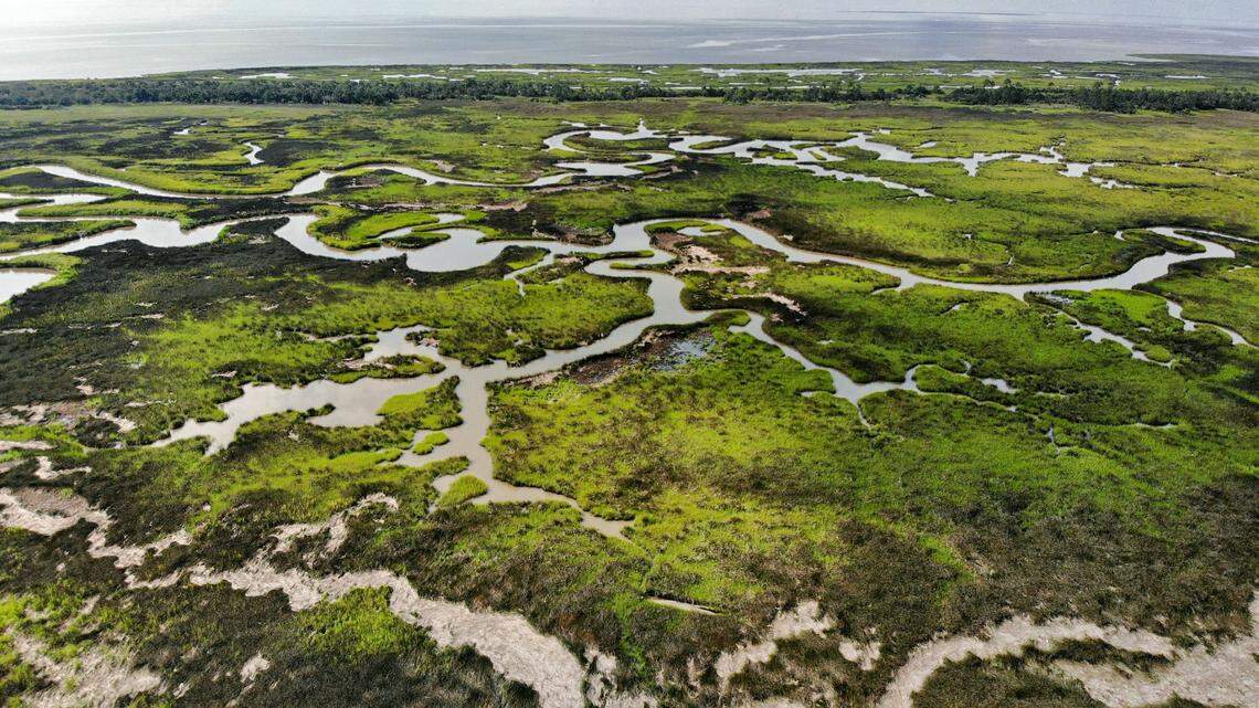 ‘There’s going to be no fishing.’ Can Mississippi marshes be saved from sea level rise?