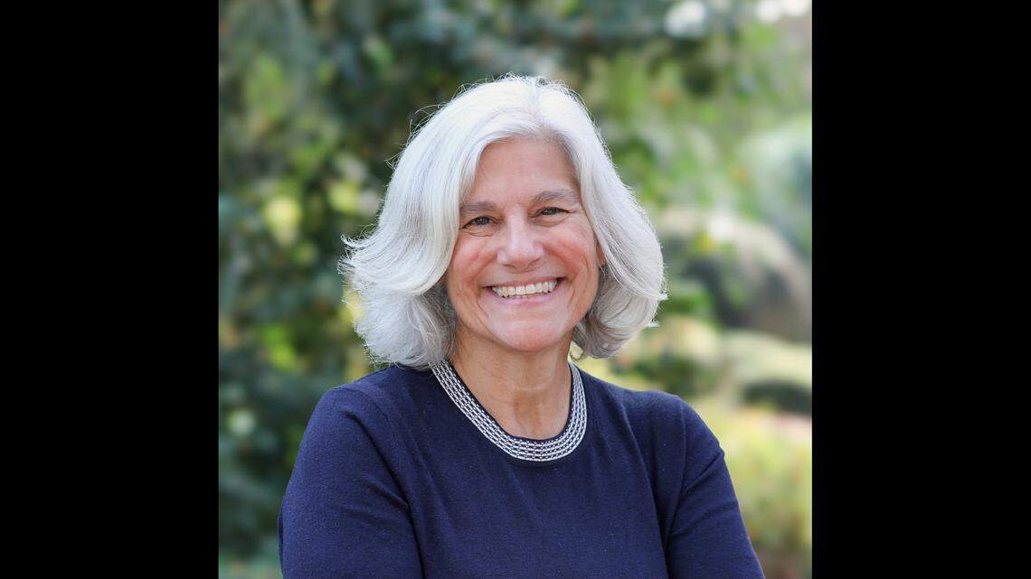 Christine Kushner, candidate for Wake County commissioner