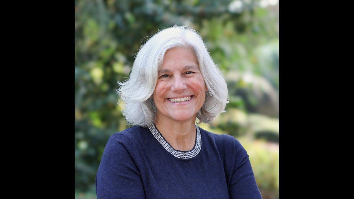 Christine Kushner, candidate for Wake County commissioner