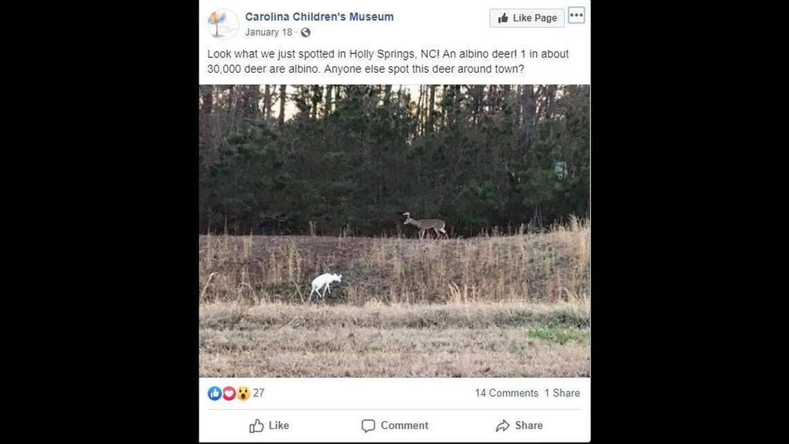 Screengrab from Carolina Children’s Museum Facebook