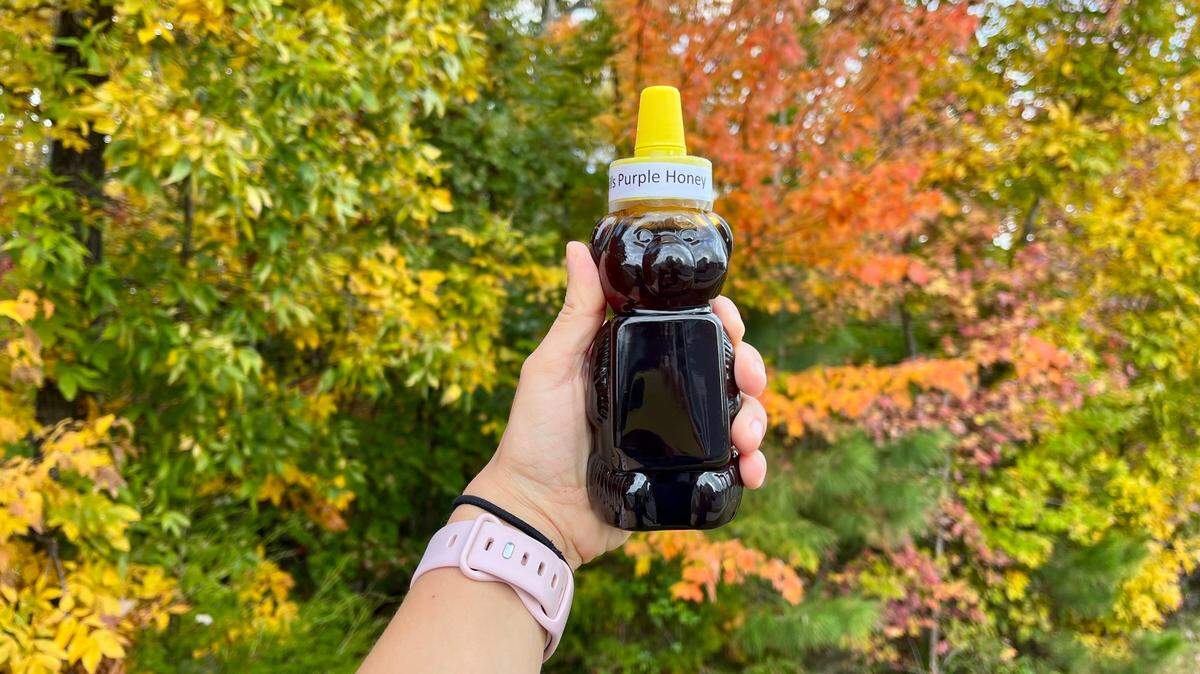 A bear-shaped, labeled jar of purple honey from the Sandhills of North Carolina on Oct. 26, 2022.