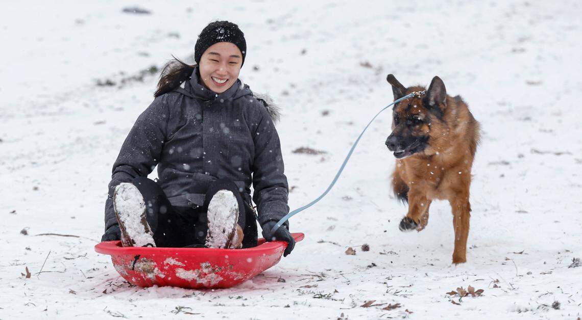 Michelle Mohr sleds at Dix Park in Raleigh with her German Shepherd, Luna, Wednesday afternoon, Feb. 19, 2025.
