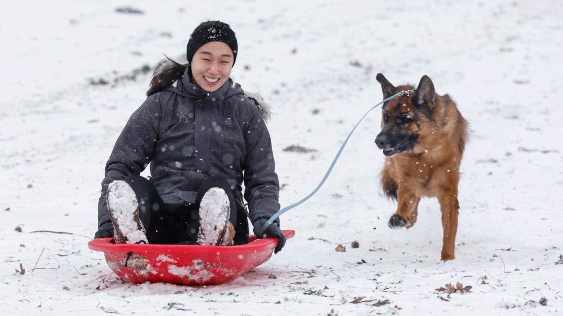 It’s a snow day. Check out photos as 3rd snowfall of 2025 blankets the Triangle, central NC
