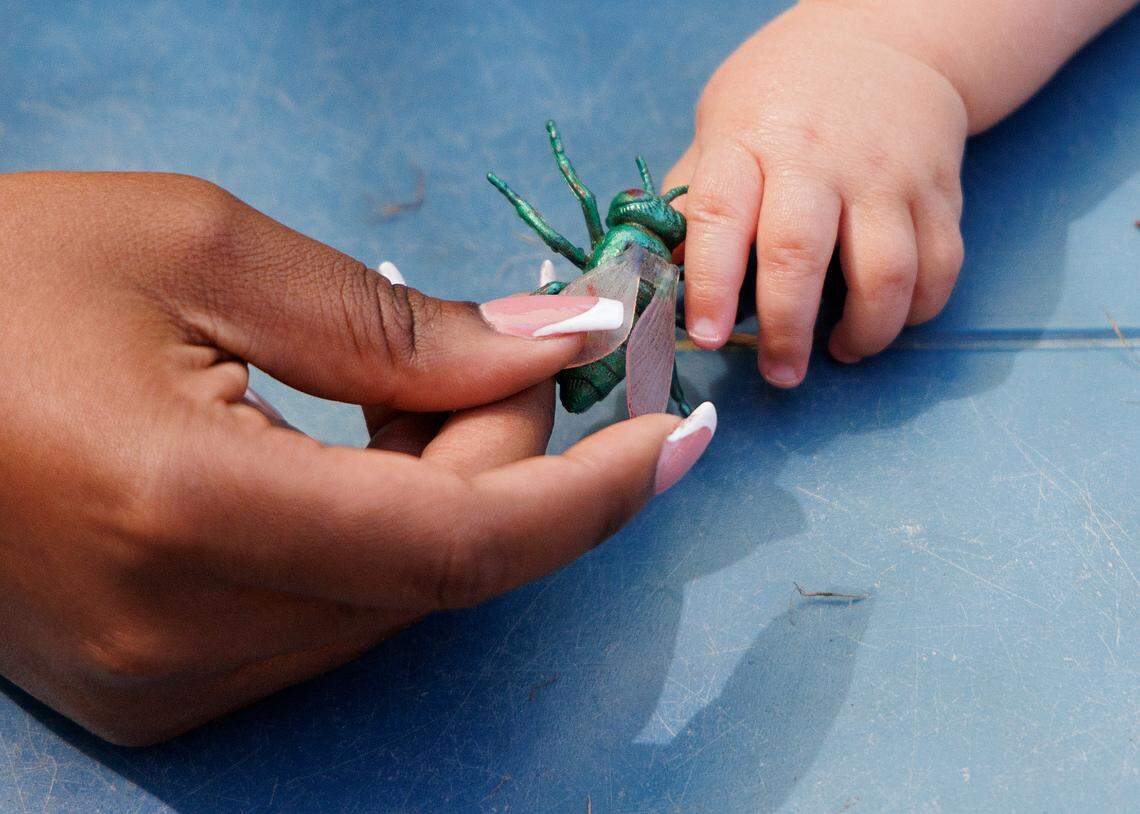 Senani Watson, a teacher at the Little School of Hillsborough, shows a toy insect to a student on Thursday, April 18, 2024, in Hillsborough, N.C.