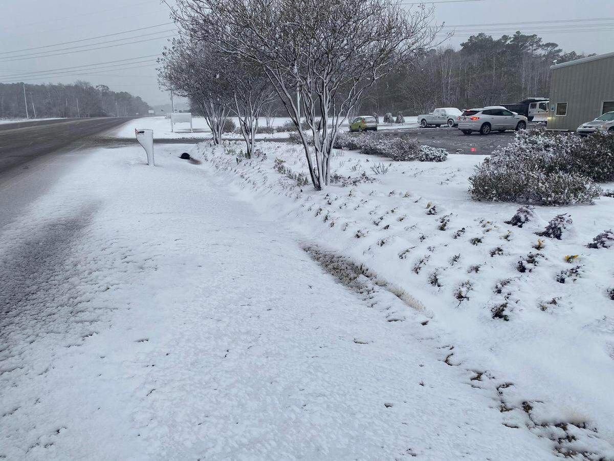 This is a view of the snow that fell in the coastal town of Jarvisburg along the Currituck Sound.