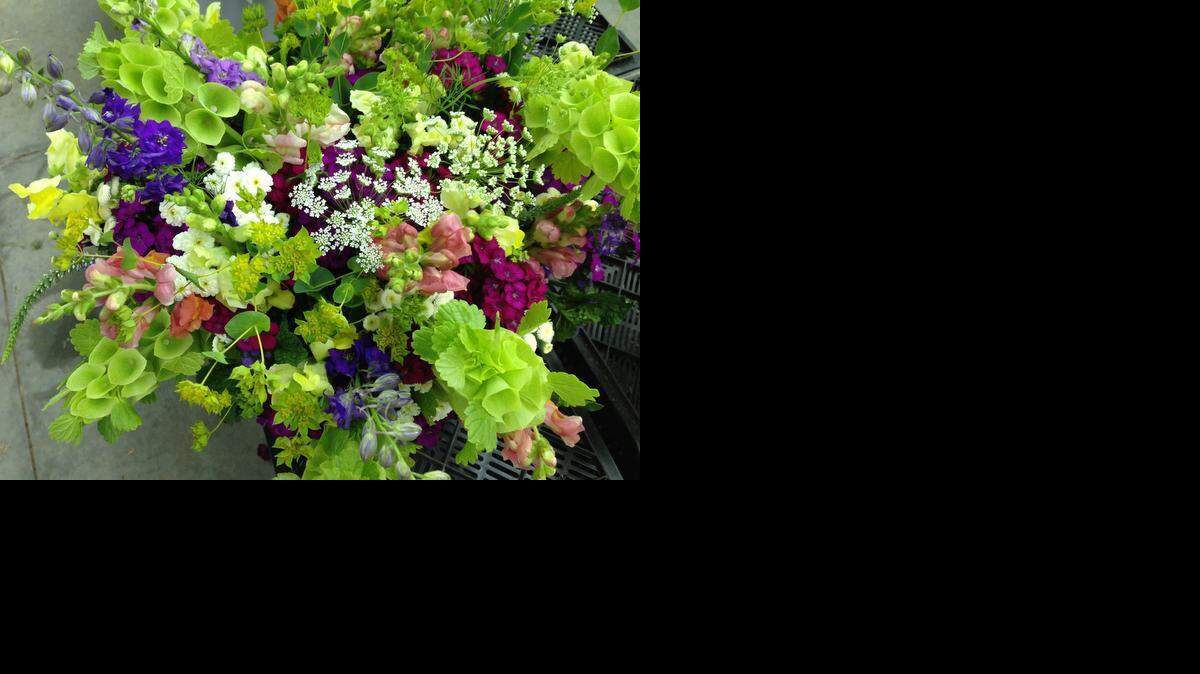 The curious green flowers of bells of Ireland are scene-stealers in a spring bouquet. They look pretty in a vase with feverfew, snapdragons, larkspur and ammi, which is similar to Queen Anne's lace. They all bloom around the same time.
