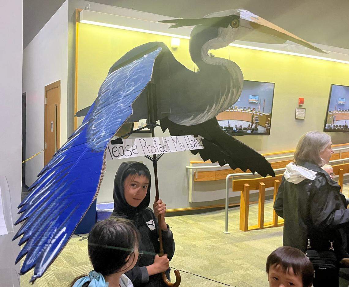 Raheem Reshamwala, 9, holds a to-scale replica of a great blue heron at a Durham City Council meeting on Monday, May 1, 2023.