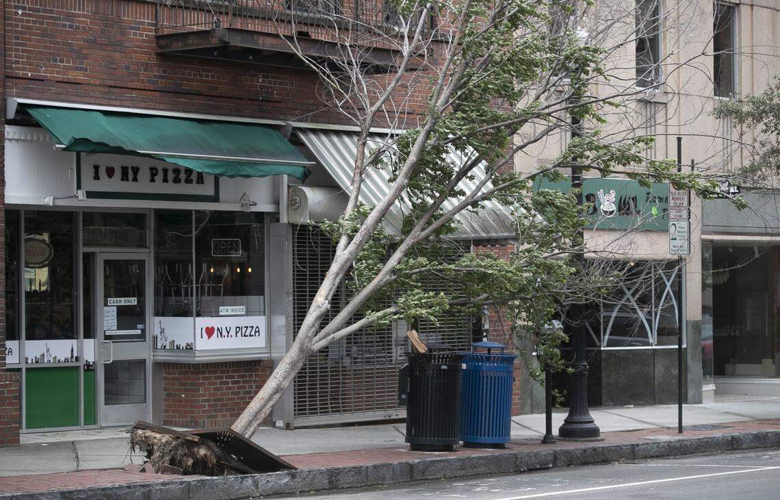 A small tree was toppled on Front Street in downtown Wilmington after Hurricane Dorian moved across the Cape Fear region on Thursday night. The storm caused very little damage to the historic district of downtown Wilmington. Many business in downtown prepared to re-opened on Friday, September 6, 2019.