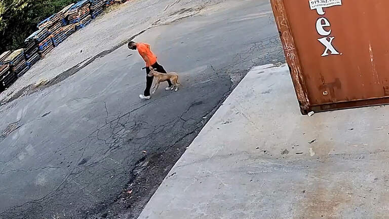Dog found in Durham County dumpster as garbage truck arrives to collect