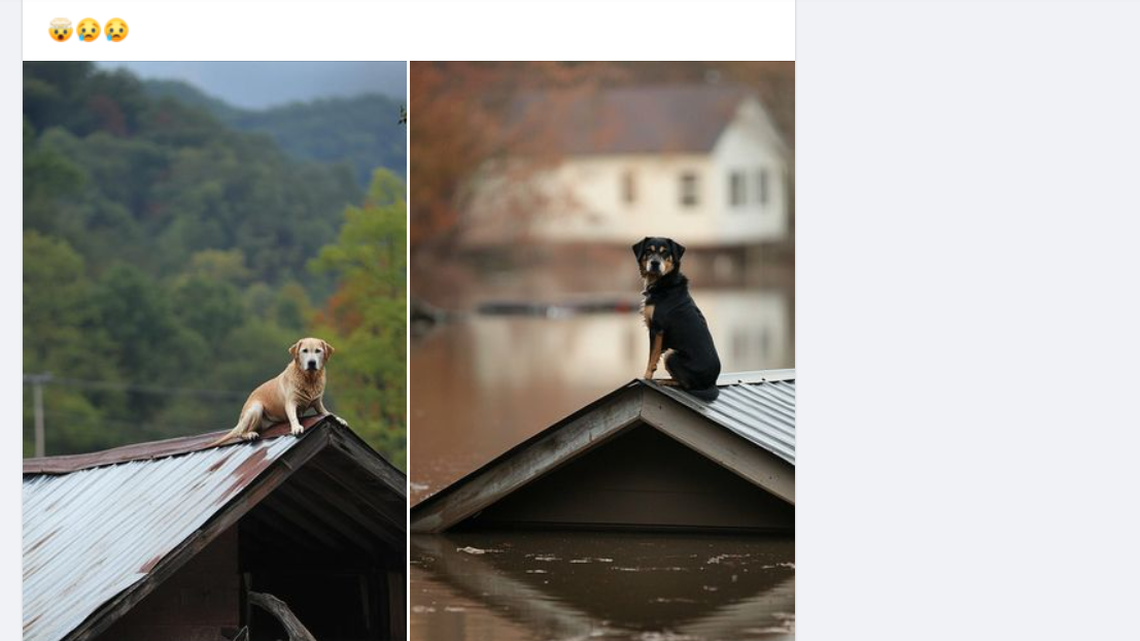 Fake, misleading images of Helene spread on social media. Here’s how to spot them.