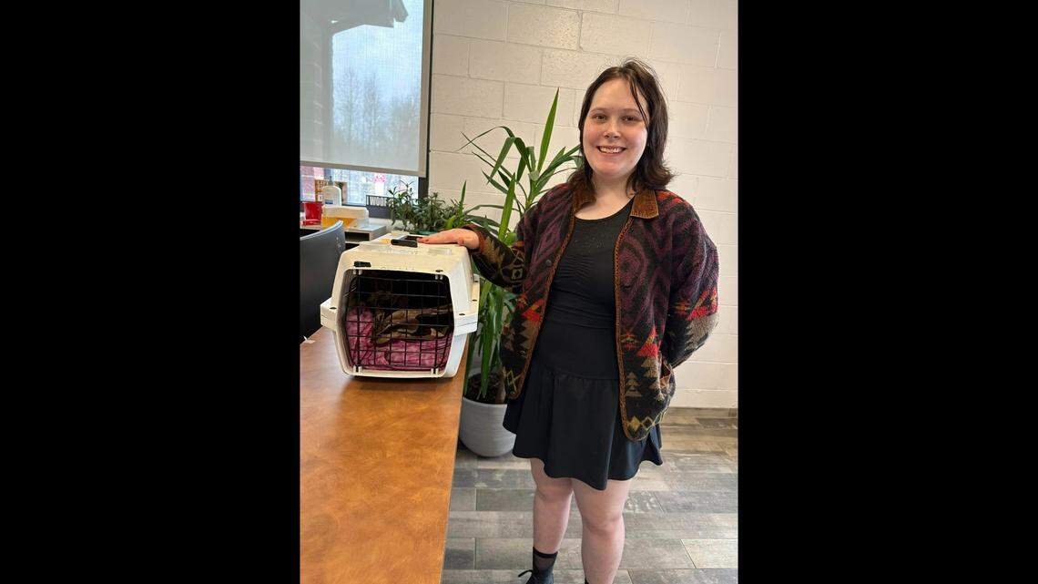 A cat missing since 2016 was reunited with family, a Virginia animal shelter said.